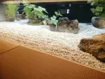 砕石と火山岩で中庭に作った和風坪庭の施工例