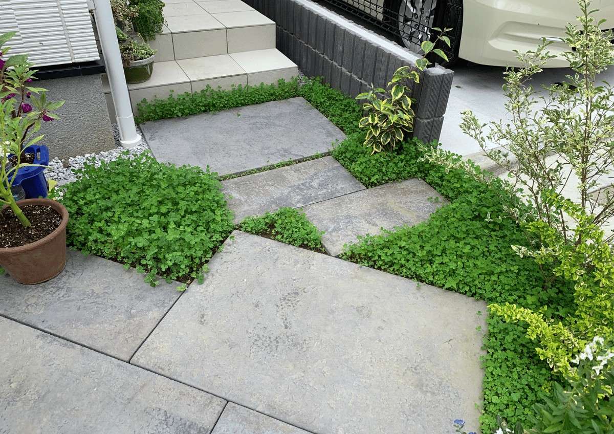 植栽と舗装材がバランスよく配置されたアプローチ。クローバーの下草が足元に自然な広がりを演出。