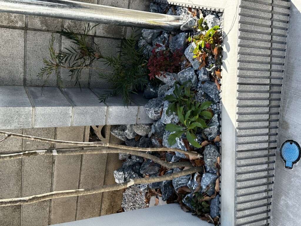 門周りの花壇に据えられた大きめの自然石と、足元を彩る植栽。