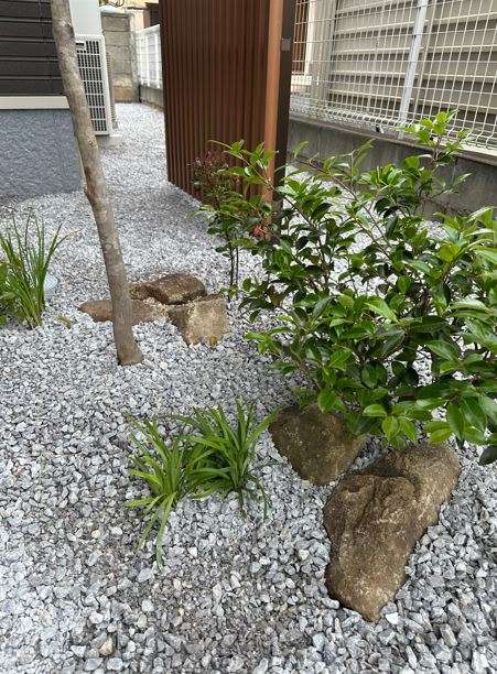 アオダモやヤマモミジなど季節感を楽しめる植栽