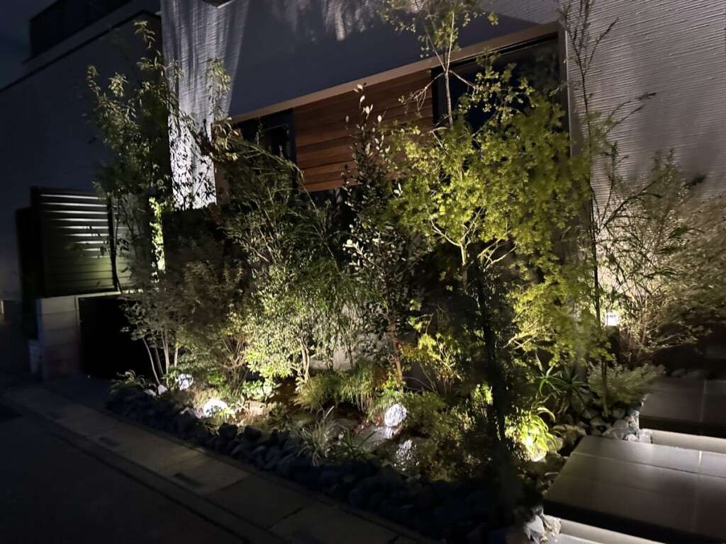 花壇の植栽を下からライトアップした夜の様子