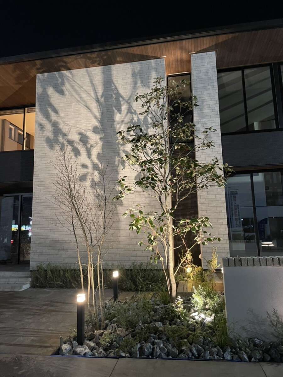 ロドレイヤヘンリーやモッコクを植えたロックガーデン風植栽スペース