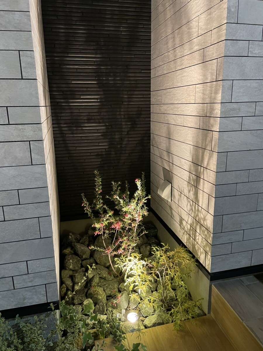 異なる樹形と葉色を楽しめるロックガーデン風植栽