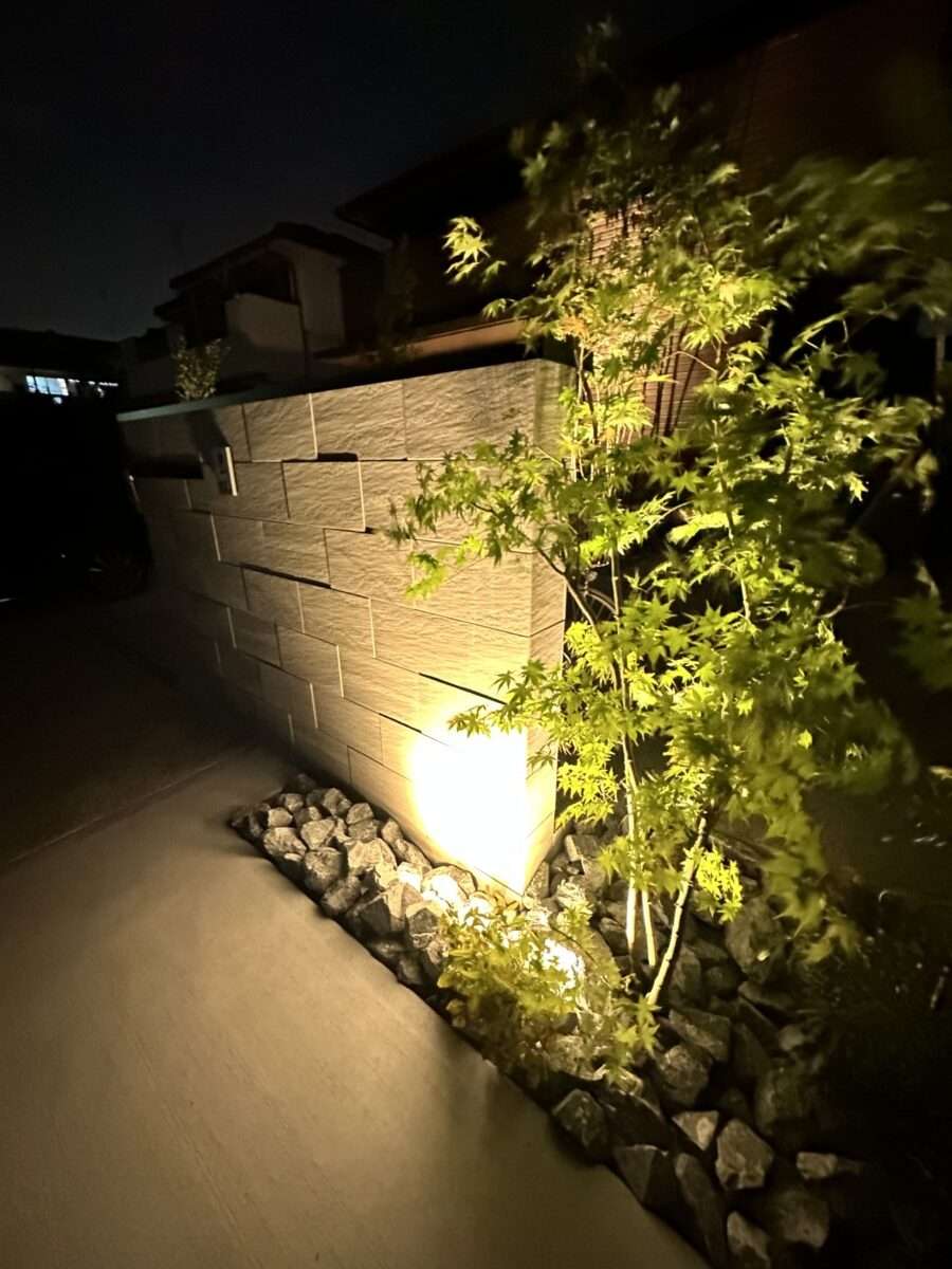 ライトアップされた植栽が夜空に映えるシルエット