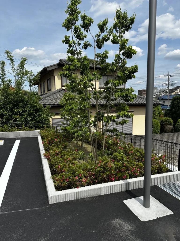 広々とした店舗駐車場の全景。植栽が無機質になりがちな空間に彩りを添える